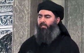 دستور البغدادی برای بازداشت 20 سرکرده داعش