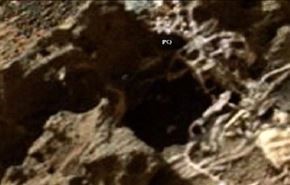 اسکلت غول‌پیکر در مریخ! +ویدیو