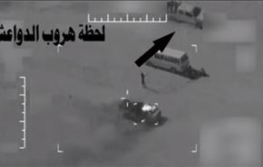 بالفيديو؛ هكذا يفر قادة 