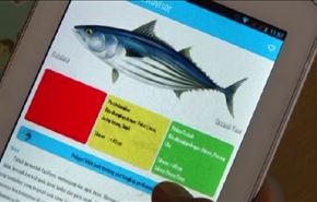 اندونيسيا .. تطبيقات الكترونية لاختيار الماكولات البحرية