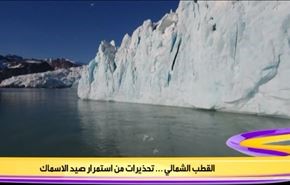 القطب الشمالي.. تحذيرات من استمرار صيد الاسماك