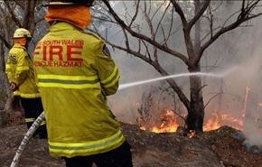 اجلاء 82 الفا و600 شخص اثر حريق شب بكاليفورنيا