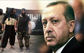 أردوغان: نصف الاسلحة المرسلة من الغرب وقعت بيد داعش
