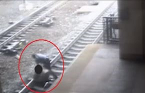 فيديو.. انقاذ رجل سقط على سكة قبل وصول القطار بثانية!