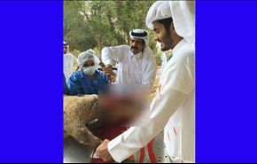 صورة أمير قطر السابق وهو يذبح خروفا تثير جدلا على الشبكة العنكبوتية
