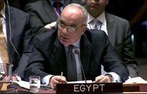 دبلوماسي مصري: لن نسمح للمتطرفين بحكم سوريا