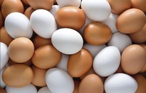 ما الفرق بين البيض الأبيض والبني؟ وأيهما أفضل؟