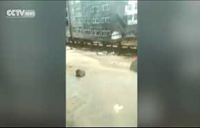 بالفيديو... اعصار يسبب في انهيار مبنى في ثوان