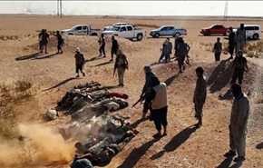 اعدامهای درون گروهی عناصر "داعش" در الانبار