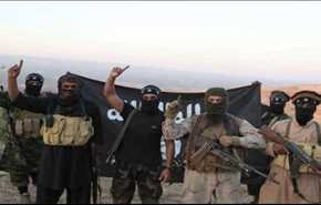 نگاه مثبت جوانان مغرب عربی به داعش