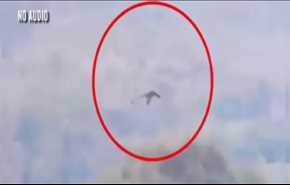 شاهد... ظهور طائر ضخم يحلّق في الصين يثير ضجة!