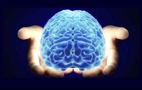 اطلاعات مفید و جالب در مورد مغز انسان