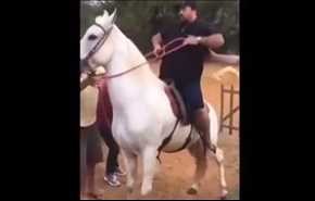 شاهد مصير رجل بدين حاول امتطاء حصان!!