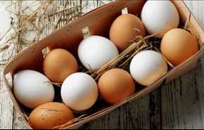 بالفيديو: كيف تميز بين البيض الطازج والبيض غير الصالح للأكل