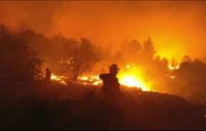 «اسرائیل» در آتش می‌سوزد؛ درخواست کمک از ترکیه (تصاویر)
