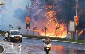 بالصور.. استمرار الحرائق الواسعة في الاراضي الفلسطينية المحتلة