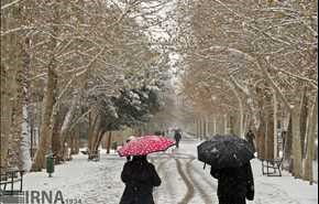 بارش برف پاییزی در مشهد، همدان و آستارا +عکس