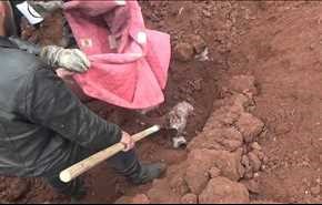 بالفيديو..العثور على مقابر جماعية شرق حلب لضحايا تعرضوا للتعذيب