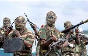 استسلام 31 مسلحا من بوكو حرام في النيجر