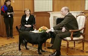 كلب بوتين الذي اخاف ميركل.. هذه مواصفاته العجيبة !