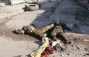 بالفيديو .. القوات العراقية تزيل جثث عناصر 