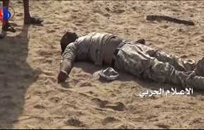 مقتل عدد من مرافقي قيادي بارز بمرتزقة السعودية في صرواح بمأرب