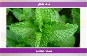 فوائد النعناع