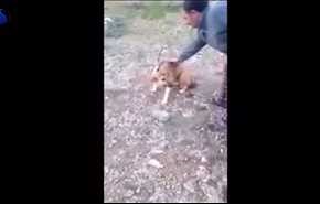 فيديو +18... أردني يحرق كلباً وهو حيّ !!