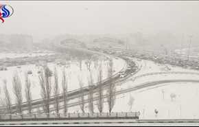 برف، حال تهران را خوب کرد+تصاویر