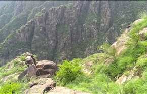 بالفيديو..الطبيعة بمحمية جبل برع في اليمن