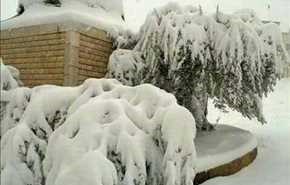 بالصور..الثلوج في قرية جبعدين بالقلمون السوري