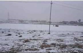 بالصور...الثلوج في محافظة واسط جنوب العراق