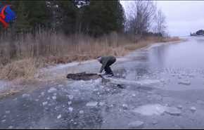 نجات جان یک گوزن در دریاچه یخ زده+ ویدیو