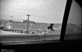 تساقط الثلوج في مدينة مشهد