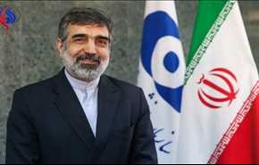 كمالوندي: إيران قادرة على إنتاج وقود المحطات النووية في غضون 10 أعوام