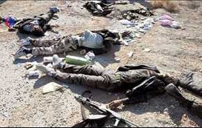 مقتل وإصابة 36 داعشيا بمواجهات مع القوات اليمنية بـ