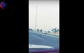 شاهد بالفيديو.. الأمن السعودي يتوقع نهاية مروعة لوافد..