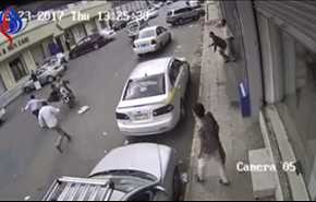 بالفيديو.. رجل شجاع يحبط محاولة سرقة حقيبة في وضح النهار