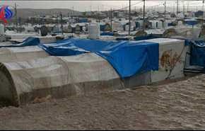 بالصور.. أمطار غزيرة تجرف مخيم بردرش للنازحين في دهوك