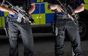 إنقاذ طفلة بريطانية من أنياب كلب كاد يفترسها