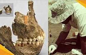 بالفيديو:العثور على بقايا جمجمة عمرها 28 مليون سنة في مكة
