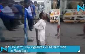 شاهد... هندوس يضربون مسلماً حتى الموت دفاعاً عن البقر!