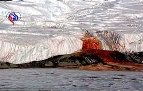 حل معمای "آبشارهای خون" در قطب جنوب +عکس