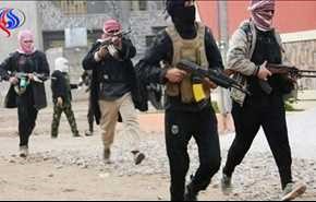 مسؤول كبير: نحو 900 أردني يقاتلون حاليا في العراق وسوريا