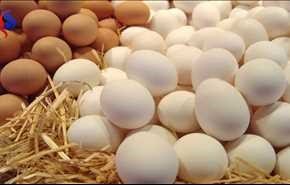 لحماية البصر وفقدان الوزن تناول البيض يوميا