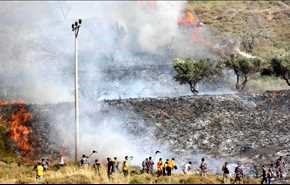 مستوطنون يضرمون النار بالمحاصيل الزراعية جنوب نابلس