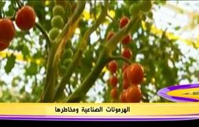 الهرمونات الصناعية ومخاطرها