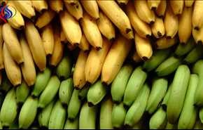 رجيم الموز لخسارة الوزن من دون جهد... تعرف على الطريقة!