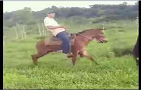 شاهد بالفيديو.. كيف انتقم حصان من رجل لتعديه عليه بالضرب المبرح؟