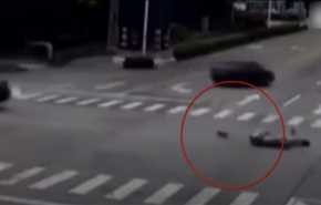بالفيديو.. كلب يطارد سيارة صدمت صاحبته على الطريق